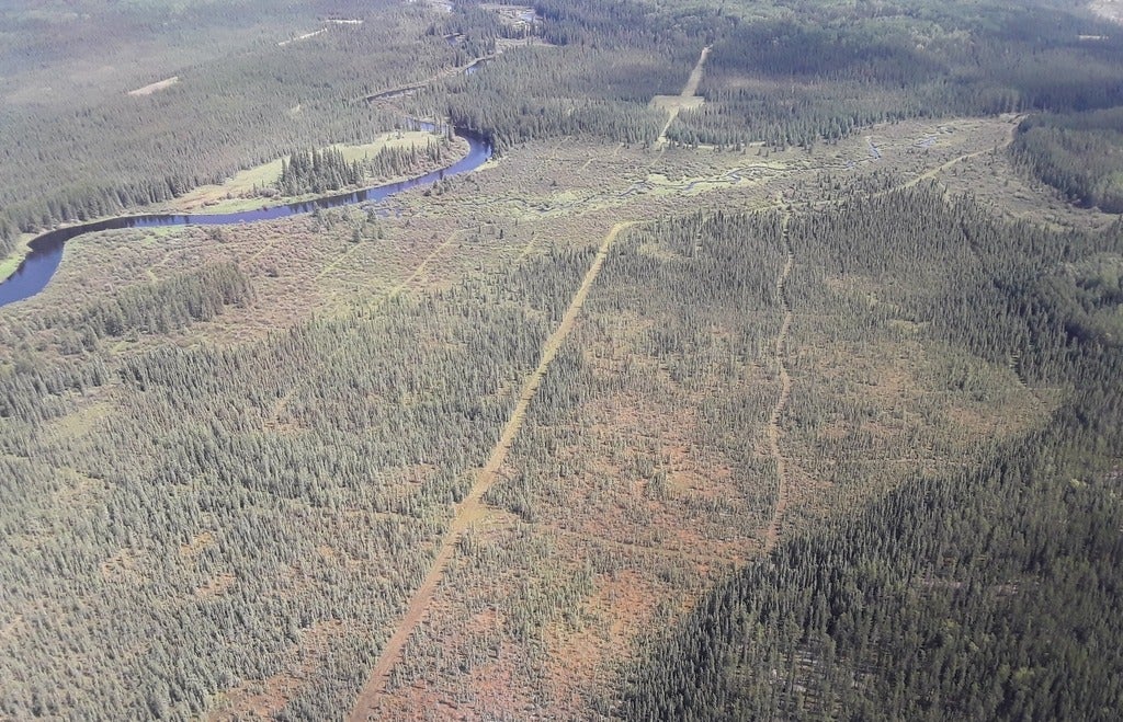 thin line of clear-cut in a wooded area seen from the sky