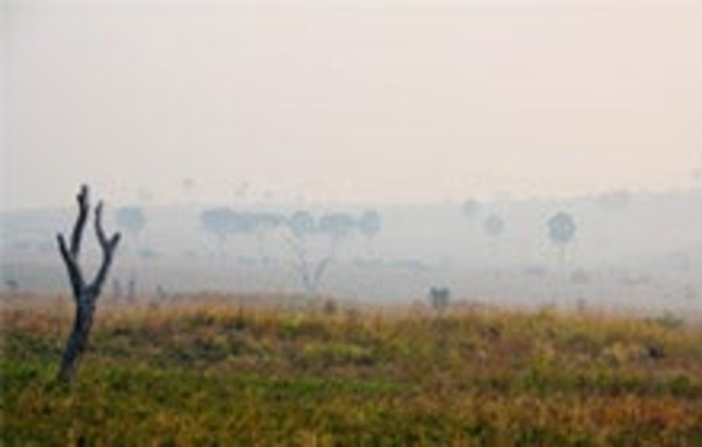 Foggy desert