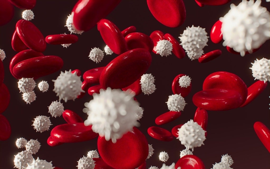 Image of blood cell