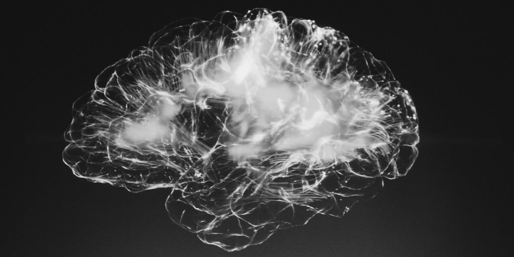 black and white outline of the brain