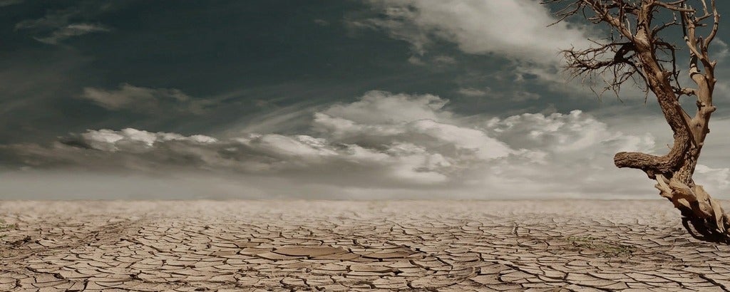 Landscape of desert drought with dehydrated clay soil and tree