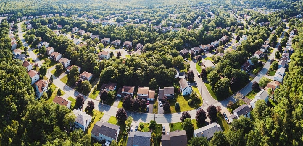 Aerial view of large subdivision with houses and trees