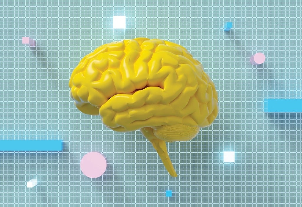 illustration of a brain
