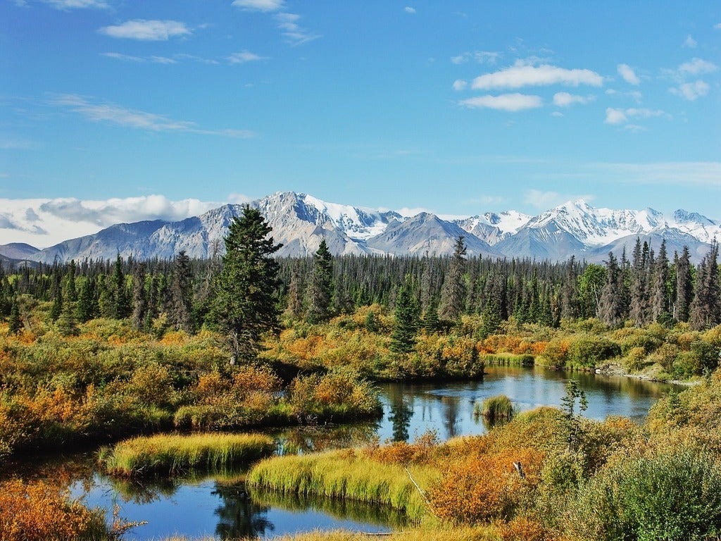 Beautiful scenery with marshland, pine trees and mountain range in Yukon in late summer.