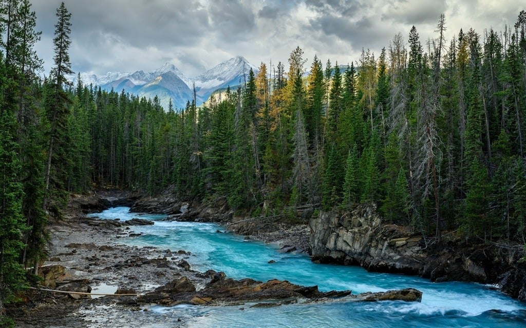 Kicking Horse River carves through Natural Bridge at Yoho National Park, BC