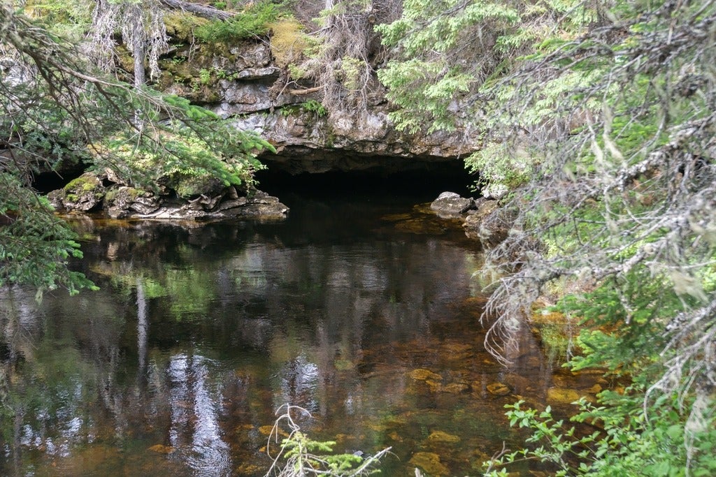 A salmon river emerging from an underground cave. 