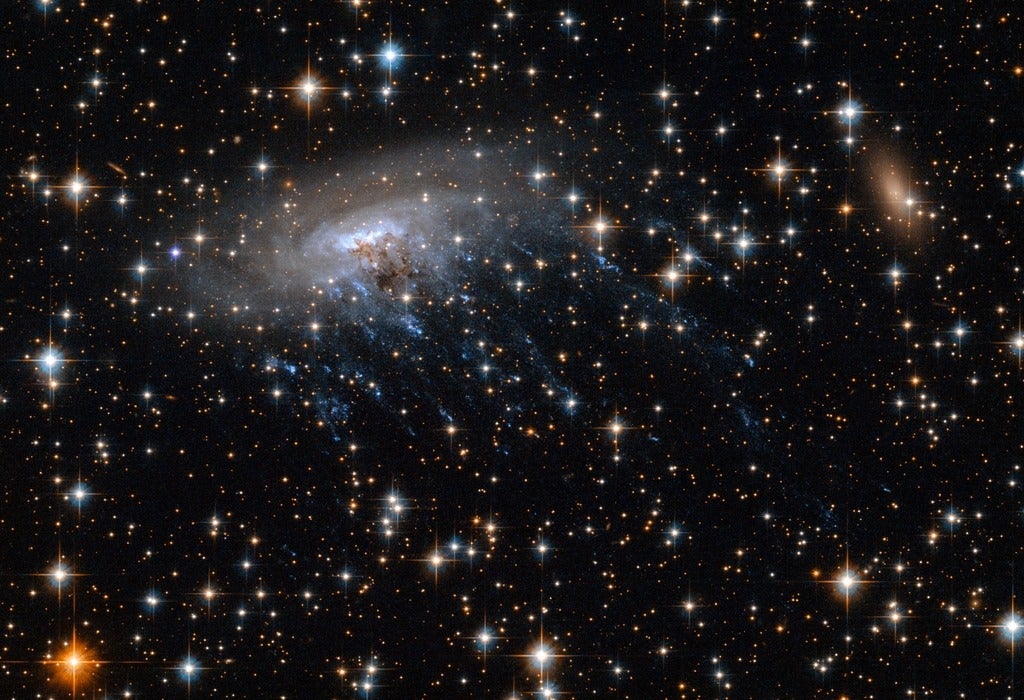 Night sky showing a galaxy