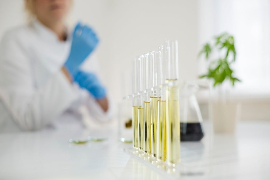 Female scientist in a laboratory working with cbd oil extracted from a medical marijuana plant.