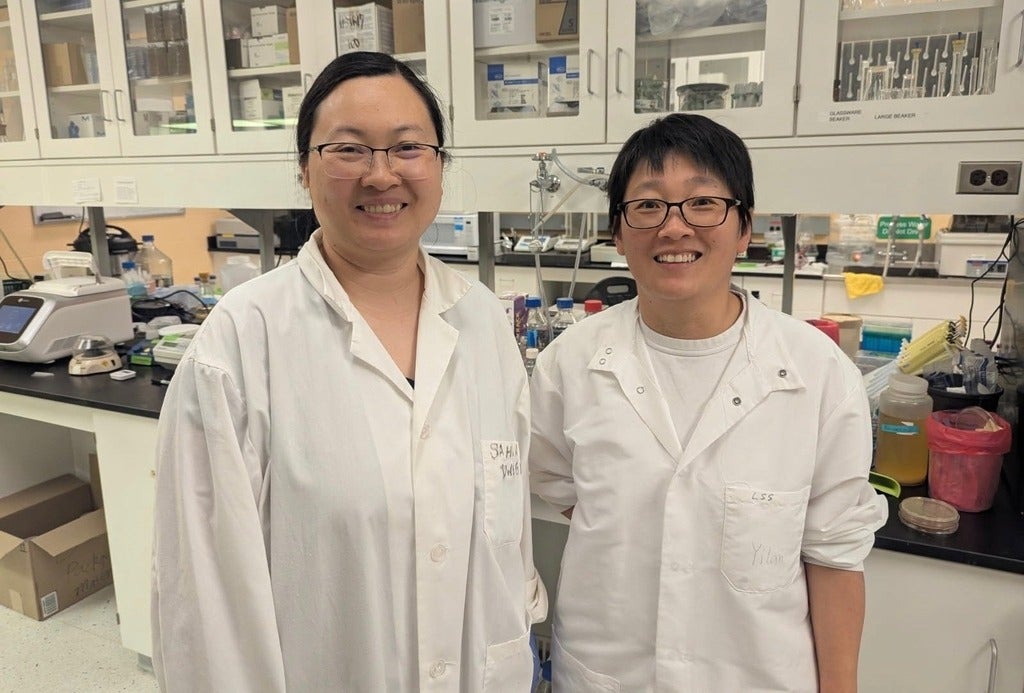 Dr. Jinjin Chen (left), a researcher in the Synthetic Biology for Sustainable Development Laboratory and first author of the pap