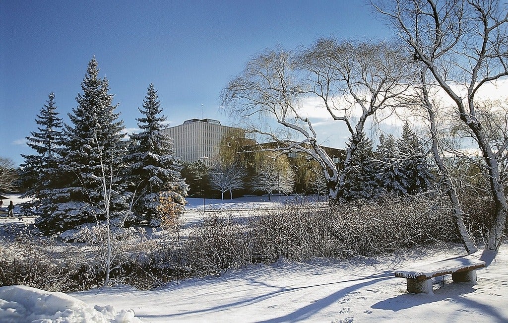 A view of Dana Porter Library across frozen Laurel Creek
