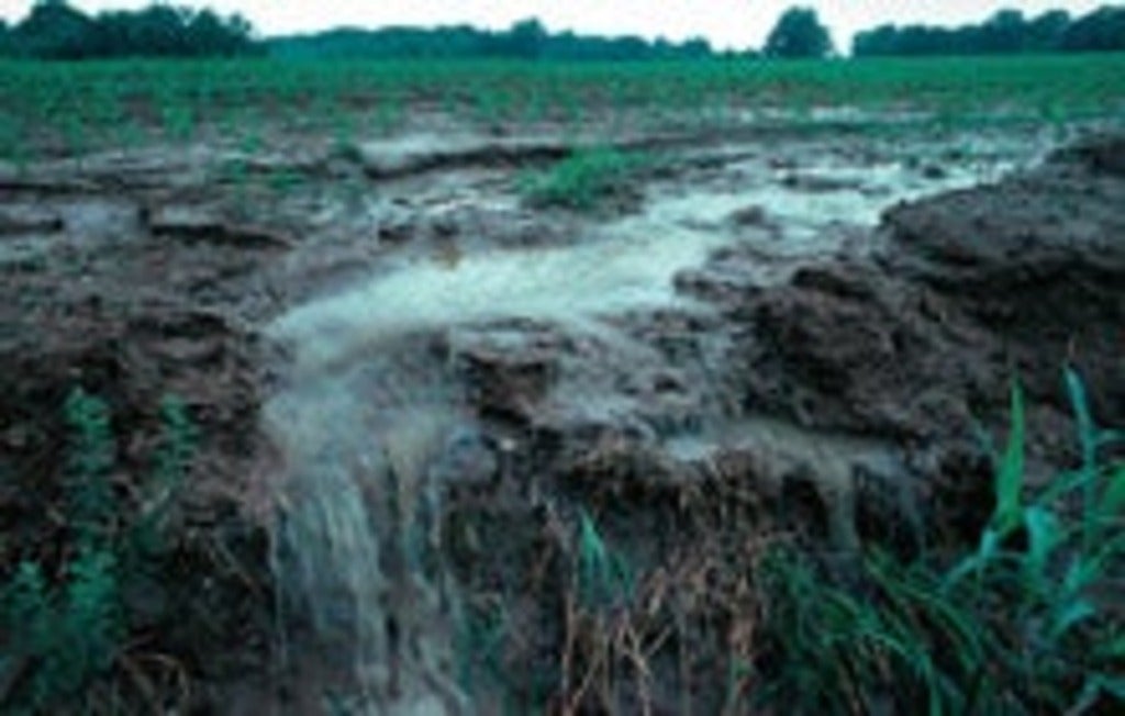 Runoff containing nitrogen fertilizer in a field