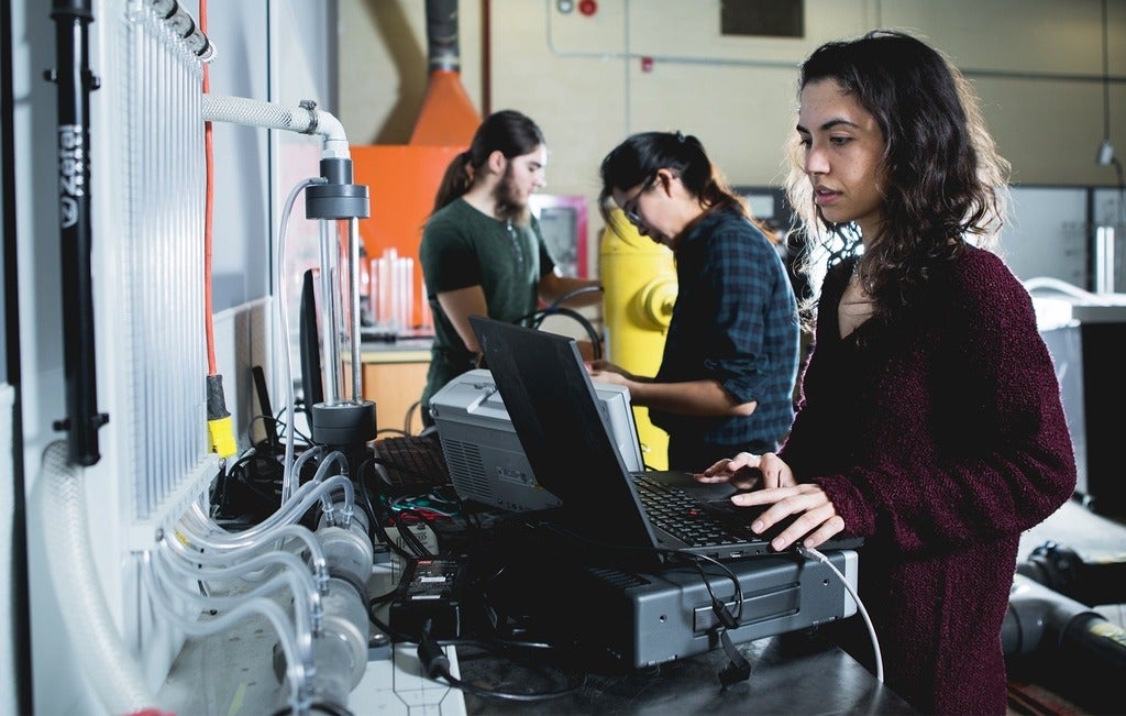 Roya Cody working on a computer