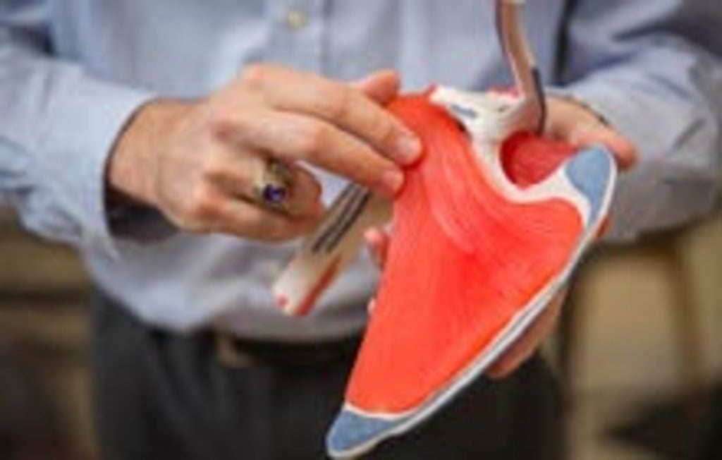 Anatomical model of the shoulder