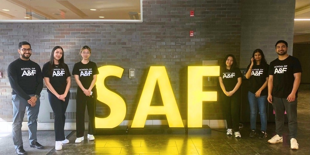 Students at the School of Accounting and Finance