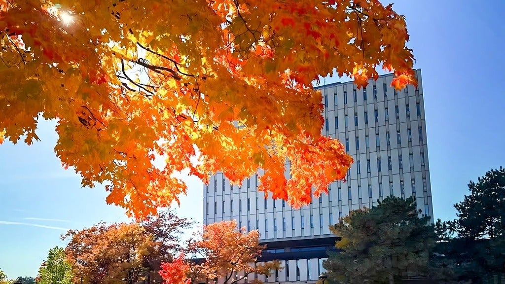 Dana Porter Library in the fall term with orange red maple leaves
