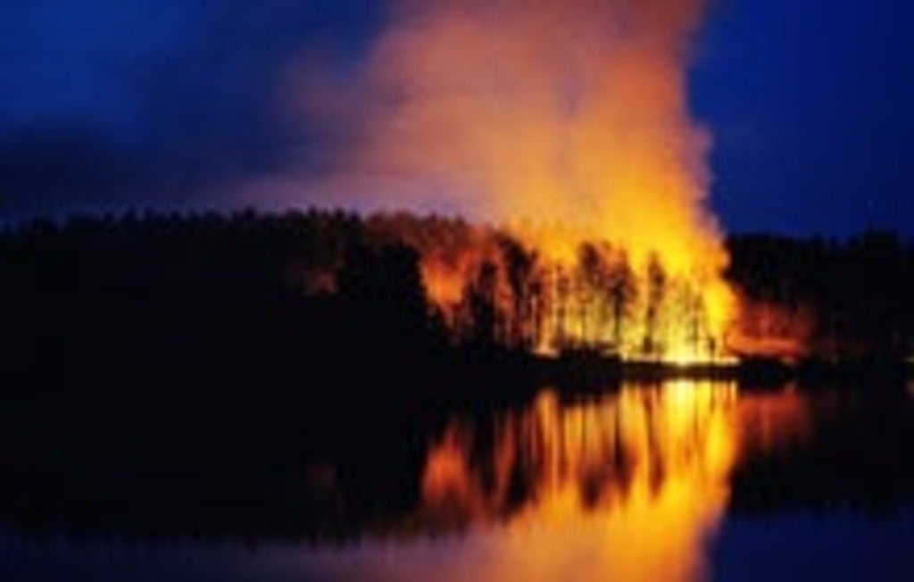 Trees burning in a wildfire