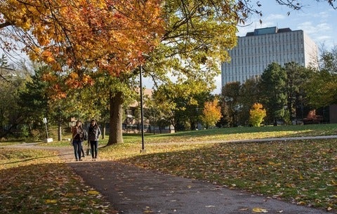 pathway outside Dana Poter 