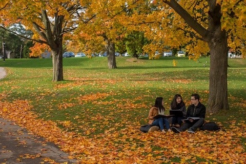 Waterloo students on campus during the fall term