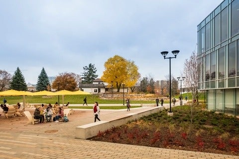 Students sitting at tables talking and other students walking on a path