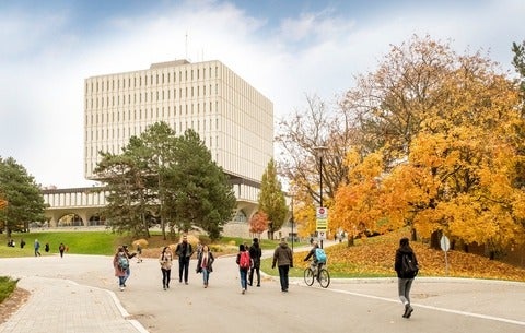 students walking outside the path beside Dana Porter library