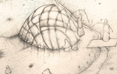 illustration of shelter design