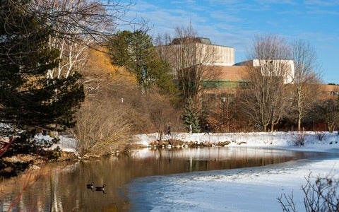 Laurel Creek on campus with geese floating on ice water