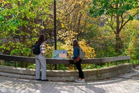 Two students surrounded by trees reading a plaque.  
