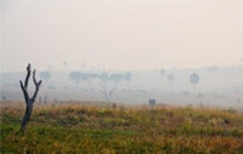 Foggy desert