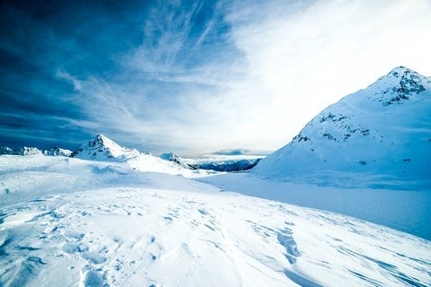 Snowy landscape