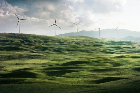 Landscape with windmills