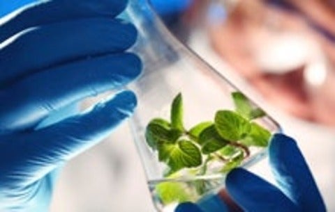 Sustainable fuel alternatives