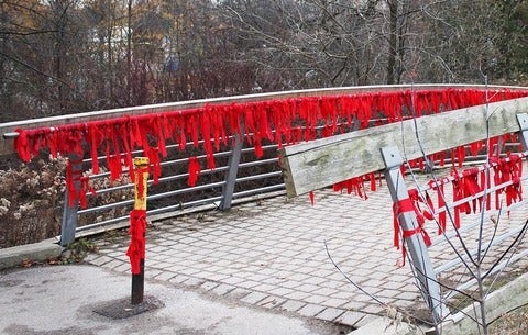 Bridge with red ribbons to represent missing and murdered Indiginous women