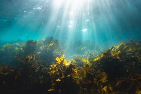 Under water