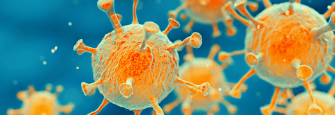 microscope view of COVID-19 cells