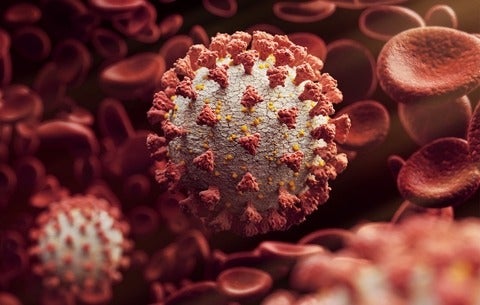 COVID-19 virus 