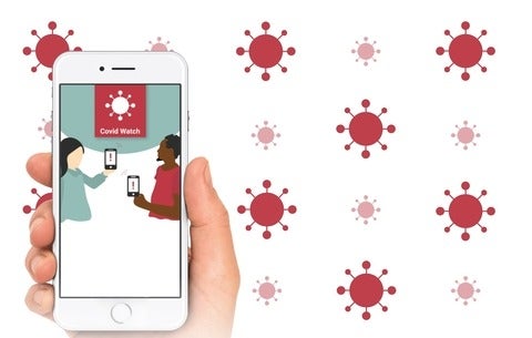 COVID app on phone