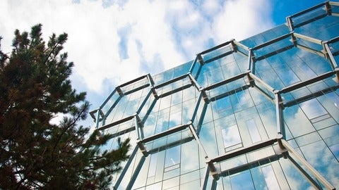 Low angle of the IQC building exterior featuring a tree and clouds reflecting in the building's windows.