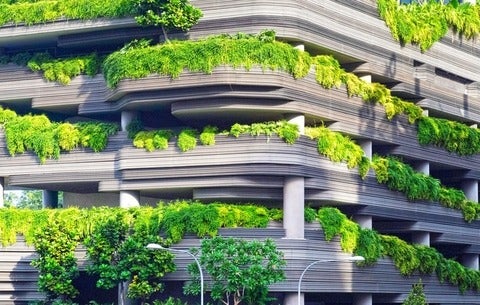 building with greenery 