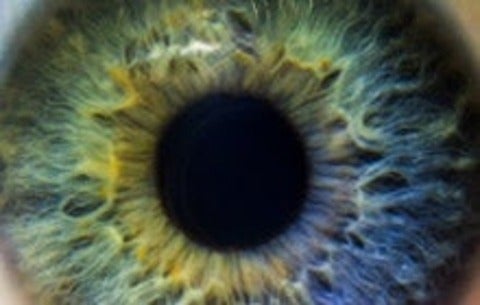 closeup of eye