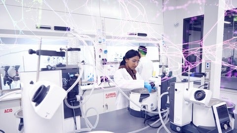 A group of students working in lab
