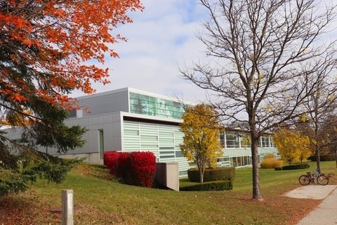 School of Optometry and Vision Science during the fall