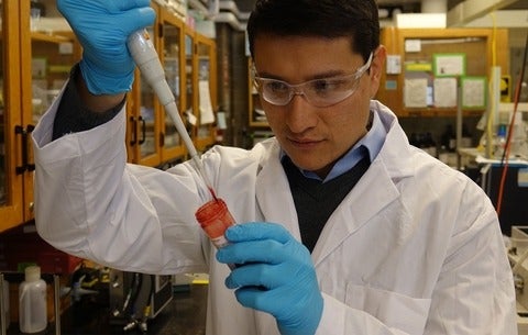 Postdoctoral Fellow German Gomez-Rio testing blood.