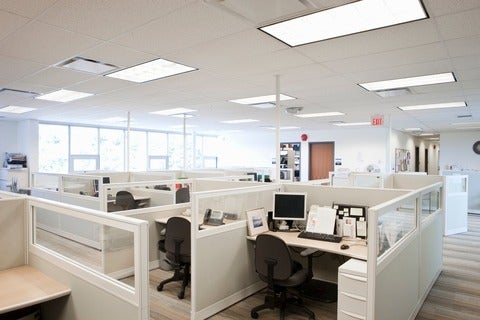 Empty office space with cubicles and natural light