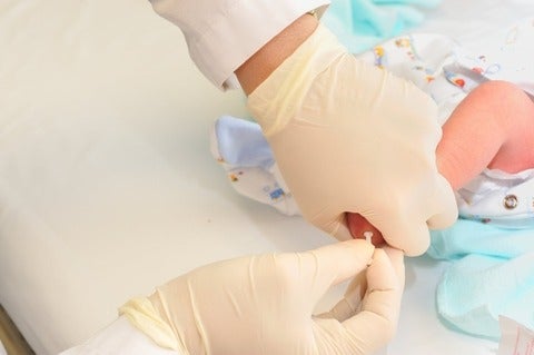 Medical person pricking new born baby heel for blood samples testing.