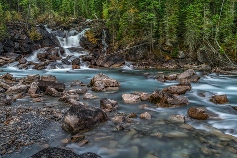 Stream flowing through rocks in forest