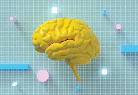 illustration of a brain