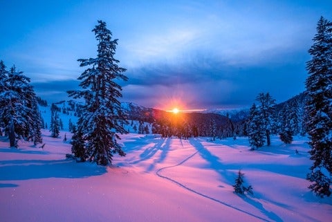 View across snowy field and trees to sunrising over distant horizon