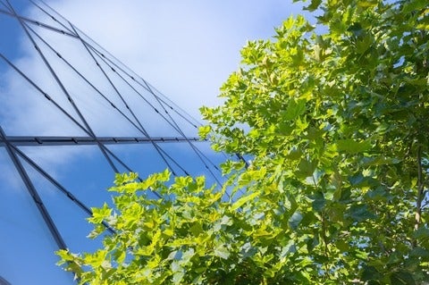 Green building architecture