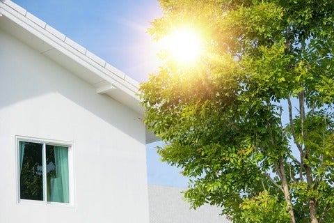 A tree helping to protect a home from sun light and provide cooling 