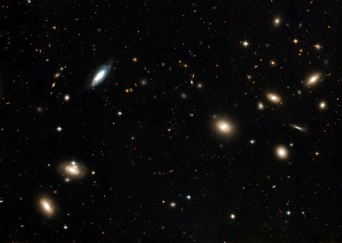The Coma cluster of galaxies. 